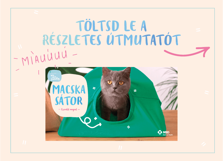 Készíts cicasátrat